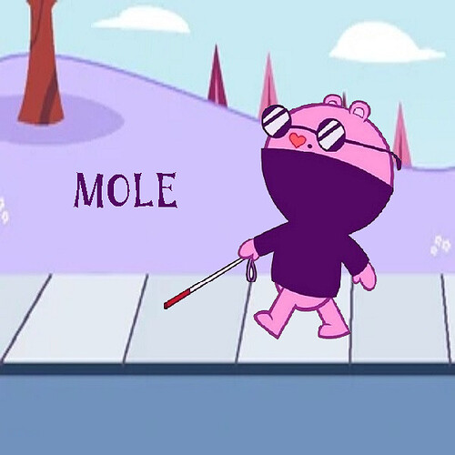 12. Mole