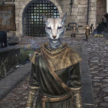 Khajit