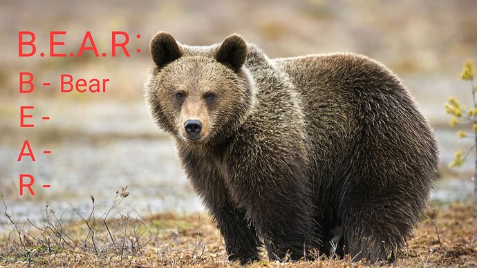 getty-brown-bear-56afcf215f9b58b7d01d5195