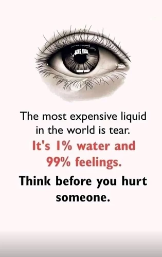 most-expensive-v0-irmbftcf3jpe1