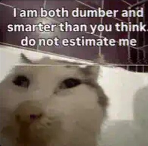1002715735