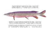 fishjoshi-1