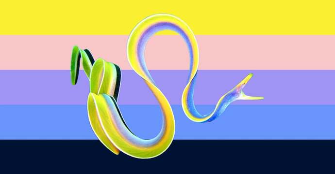 i-made-a-flag-its-colorpicked-from-a-ribbon-eel-mid-v0-4wbr03slyw391