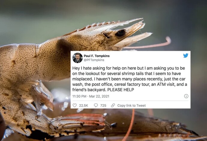 shrimpostin