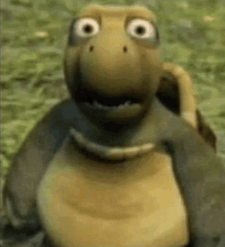 turtle