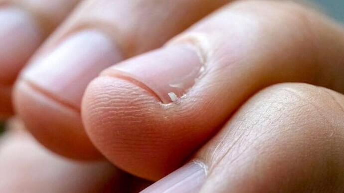 изтеглен файл (3)