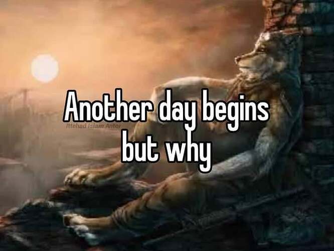 d0lnpfemrwqd1