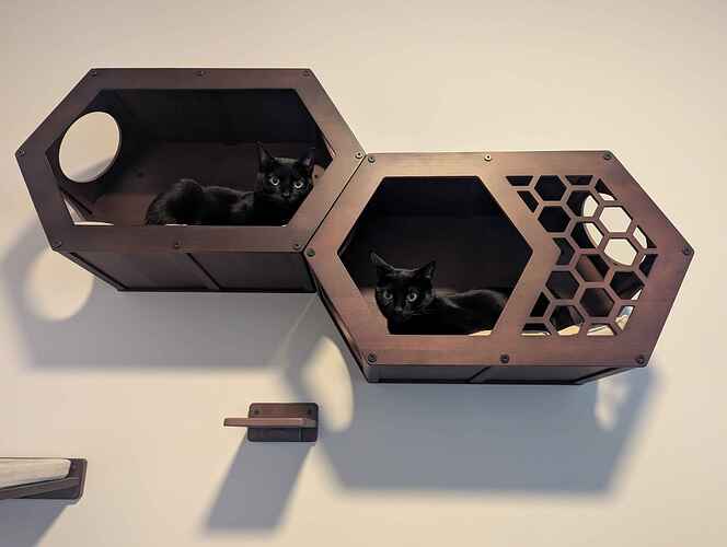 PXL_20250912_221356277