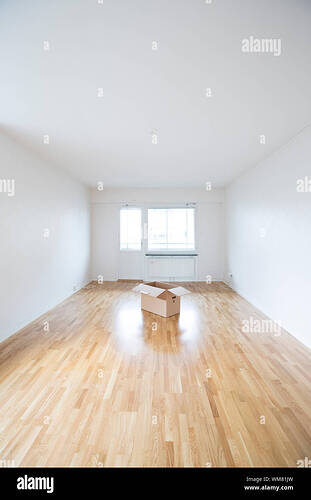 empty-room-with-a-cardboard-box-in-the-middle-WM81JW