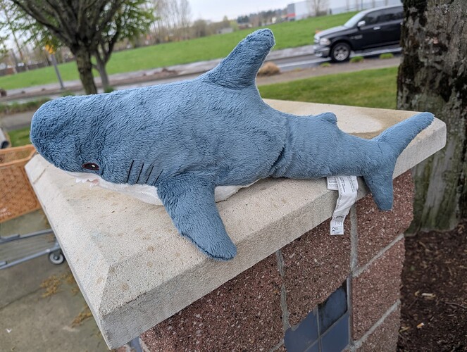 PXL_20260329_171715539.MP