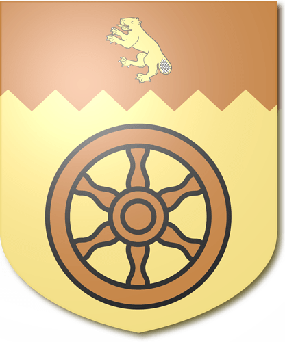 rodinshield2