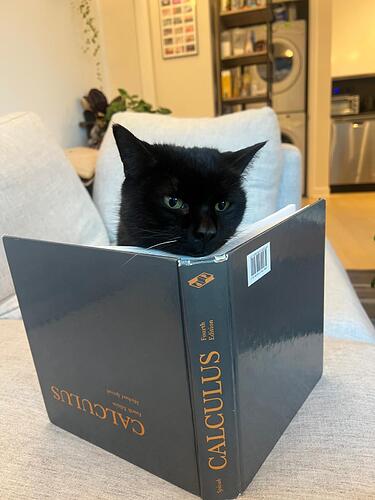 tumblr_37a3a85b44a9091c335132940c39b6ce_7d16bee8_1280