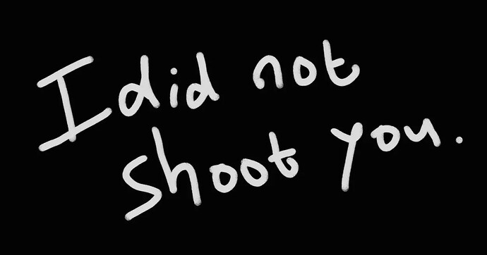 I did not shoot you