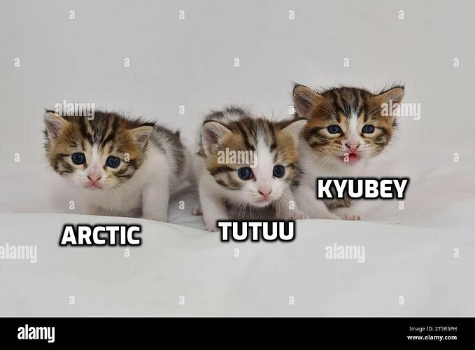 addtext_com_MTU0NzA0Ond3dzEwOjIxMTM