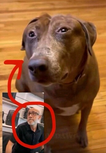 Screenshot_20250822_013435_TikTok