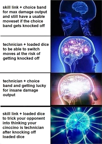 the-4-levels-of-enlightenment-on-cinccino-sets-v0-4zxg730h8ova1