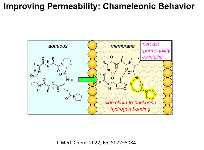 {88C4B2A8-7350-4FCB-B1B0-A7DC58C00E01}