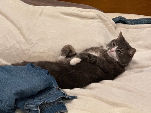 E71C5FC7-7965-4898-ABCD-57E9A4EF53B9_1_102_o