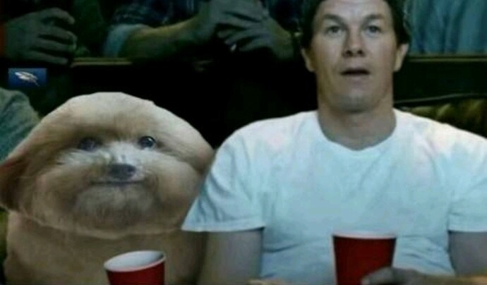 Screenshot_20251008_083104_TikTok