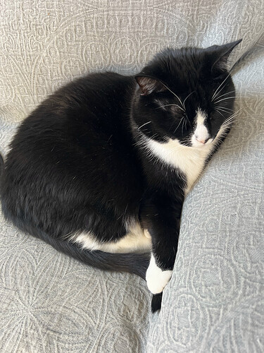 78518806749__1D59C8A6-1A11-4C56-BDDE-996026503D96