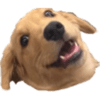 :wowee: :wowee: