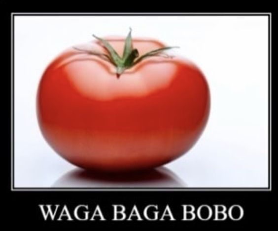 962fc732b482a7ad7325f5ba695ee06e