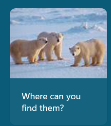 {B54E07DB-5FF0-455A-B606-53A704AA12AA}