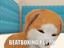 beatboxing-puppy-dog-eyes