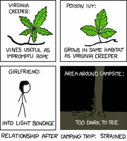 Tumblr_l_376911650119772