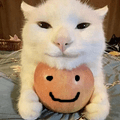 marissapfpface