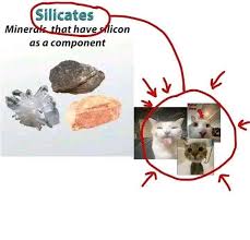 images