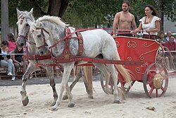 IMG_1980