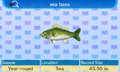 Sea_Bass