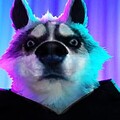 Frostwolf103